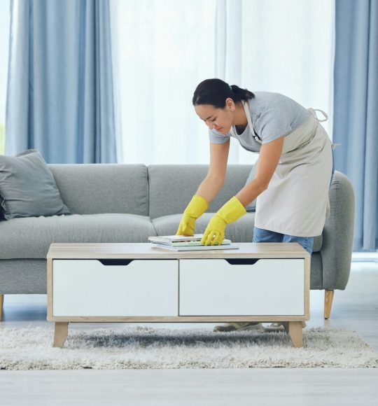 Cleaning is for weekends. Shot of a young woman cleaning at home.