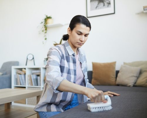 Woman cleaning the sofa